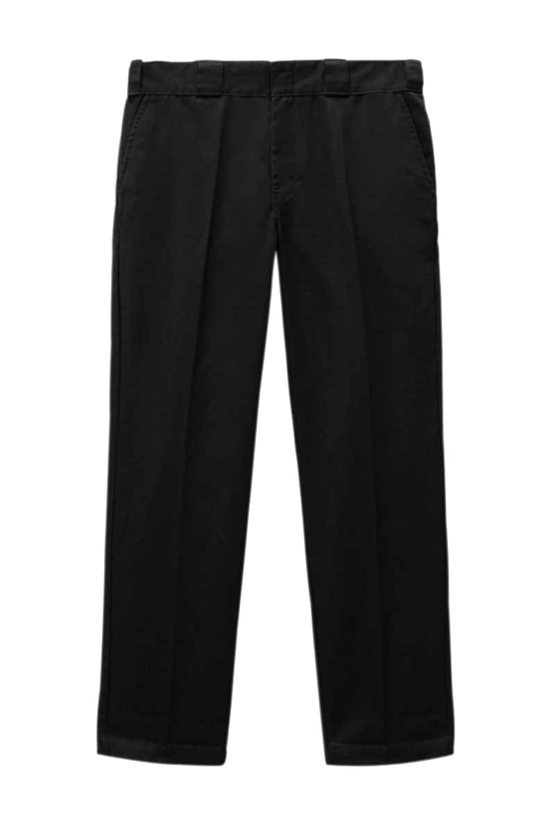 Dickies Pants - Elizaville - Svart