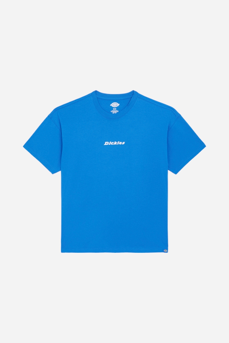 Dickies Enterprise Tee - Turkiska havet