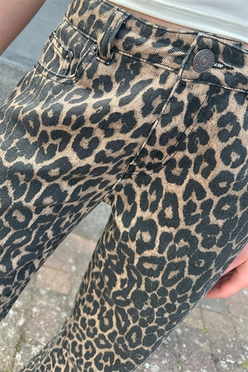 Fraizer - Girls Jeans Låg midja - Malou - Leopard Print