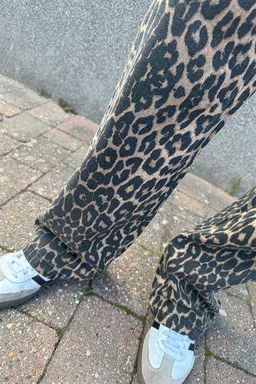 Fraizer - Girls Jeans Låg midja - Malou - Leopard Print